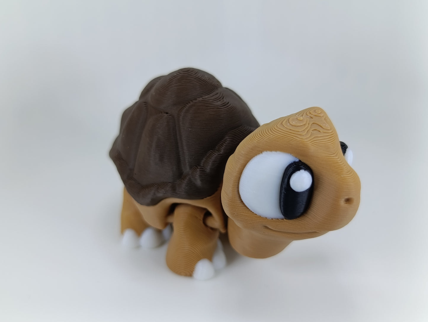 Landschildkröte "Rocky"
