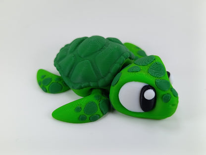 Meerschildkröte "Crushy"