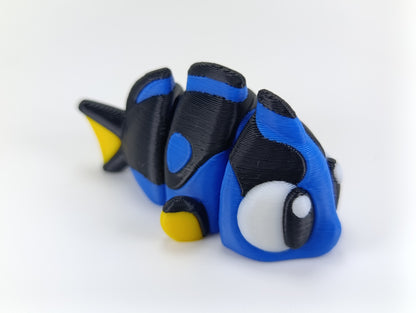 Paletten-Doktorfisch "Palletty"